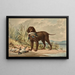 Retriever with curly coat standing, mallard in the mouth, three other ducks on the ground - Alexander Pope Jr — framed artwork on a wall