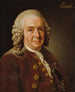 Carl von Linné 1707-1778 botanist professor - Alexander Roslin — artwork view