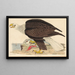 White-headed eagle painting - Alexander Wilson — framed artwork on a wall