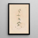 Botanical Painting Pl23 - Alexander von Humboldt — framed artwork on a wall