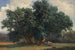 Paisaje con robles - Alexandre Calame — vista de la obra