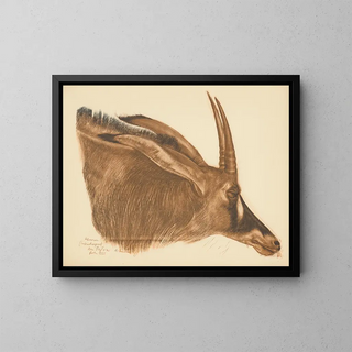 Alexandre Jacovleff - Dessins et peintures dAfrique pl 22.webp