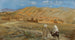 in the Afghan desert - Alexandre Iacovleff — artwork view