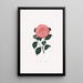 Ilustraciones y descripciones de las plantas que componen el orden natural de las Camellieae Pl14 - Alfred Chandler