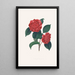 ilustraciones y descripciones de las plantas que componen el orden natural de las Camellieae Pl32 - Alfred Chandler