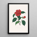 Ilustraciones y descripciones de las plantas que componen el orden natural de las Camellieae Pl39 - Alfred Chandler — cuadro enmarcado en la pared