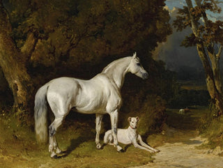 Alfred De Dreux - Etalon Gris Et Lvrier.webp