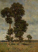 Paisaje - Alfred de Knyff — vista de la obra