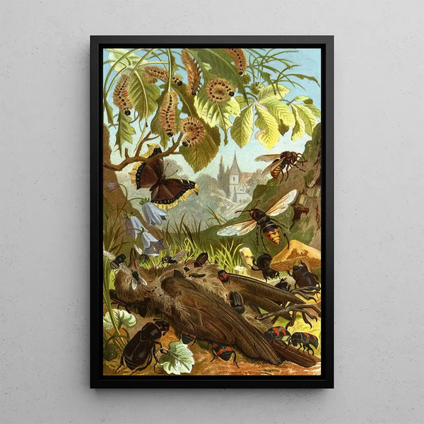Alfred Edmund Brehm - Die Insekten Tausendfussler und Spinnen Pl 03.webp