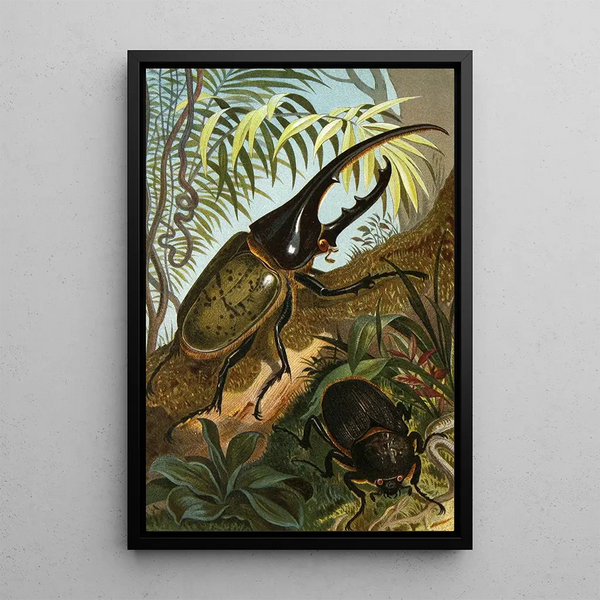 Alfred Edmund Brehm - Die Insekten Tausendfussler und Spinnen Pl 06.webp