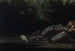 Le long du torrent - Alfredo de Andrade — artwork view