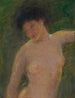 En la sombra - Alice Pike Barney — vista de la obra