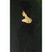 Laura en negro - Alice Pike Barney — vista de la obra