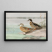 de pato crestado, pato con alas de bronce - Allan Brooks — cuadro enmarcado en la pared