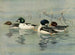 GoldenEye Barrows - Allan Brooks — vista de la obra