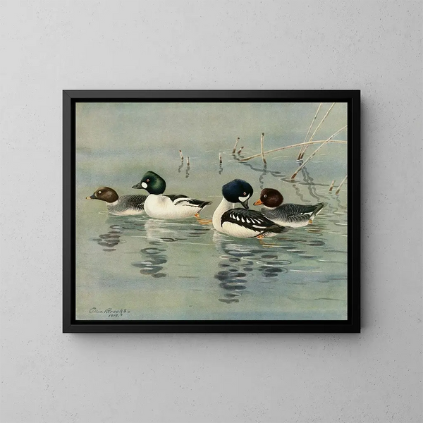 GoldenEye Barrows - Allan Brooks — framed artwork on a wall