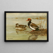 Nette rousse - Allan Brooks — framed artwork on a wall