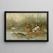 de pato canquillo - Allan Brooks — cuadro enmarcado en la pared