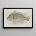 Chevesne - Allen Ginter — framed artwork on a wall