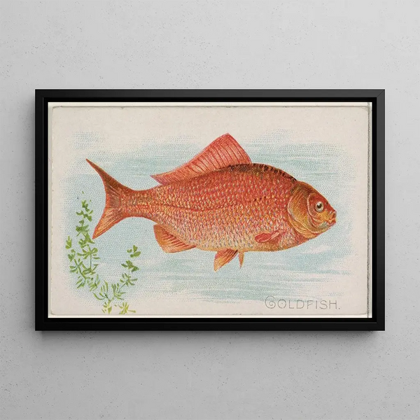 de peces rojos - Allen Ginter — cuadro enmarcado en la pared