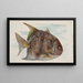 Fish Moon - Allen Ginter — framed artwork on a wall