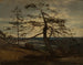 Pin de los fiordos de Setesdal - Amaldus Nielsen — vista de la obra