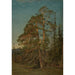 Furuer Levanger - Amaldus Nielsen — cuadro enmarcado en la pared