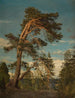 Old pine pire in Setesdal - Amaldus Nielsen — artwork view