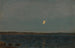 Mneskinn Hvaler - Amaldus Nielsen — vista de la obra