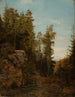 Servicio forestal Bjelland Mandal - Amaldus Nielsen — vista de la obra