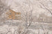 Snow View from the Workshop Window - Amaldus Nielsen — artwork view