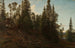 Vingersheia Telemark - Amaldus Nielsen — vista de la obra