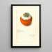 Citrus sinensis - Amanda Almira Newton — cuadro enmarcado en la pared