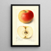 Malus domestica Banana - Amanda Almira Newton — cuadro enmarcado en la pared