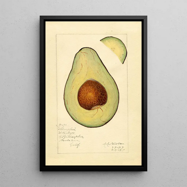 Reproduction of the painting Persea Sharpless - Amanda Almira Newton