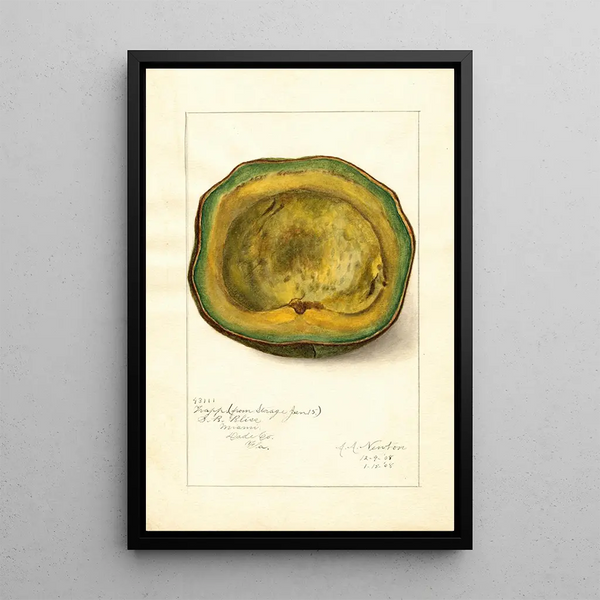 Persea Trapp - Amanda Almira Newton | Painting — framed artwork on a wall