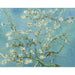 Reproduction of the painting Flowering Almond Tree - Vincent Van Gogh