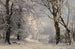 Winter Forest Painting - Anders Andersen-Lundby — artwork view
