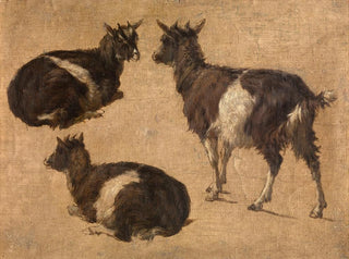 Andre Plumot - Goats.webp