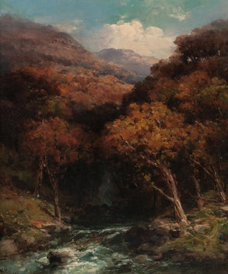 Andrew Melrose - Forest Creek Bed.webp