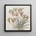 Anigozanthus de dos colores y cabellos amarillos - Sydenham Edwards — cuadro enmarcado en la pared