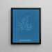 Bonnemaisonia asparagoides - Anna Atkins — cuadro enmarcado en la pared