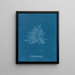 Rosa de Callithamnion - Anna Atkins — cuadro enmarcado en la pared