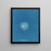 Callithamnion roseum - Anna Atkins — cuadro enmarcado en la pared