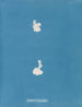 Calothrix cresswelliae - Anna Atkins — vista de la obra