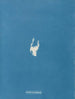 Calothrix distortiona - Anna Atkins — artwork view