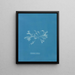 Ceramic Ciliated Painting - Anna Atkins — framed artwork on a wall
