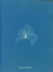 Una cerámica impermeable - Anna Atkins — vista de la obra