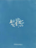 Chondrus brodii - Anna Atkins — vista de la obra