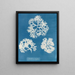 Crispy Shell - Anna Atkins — framed artwork on a wall